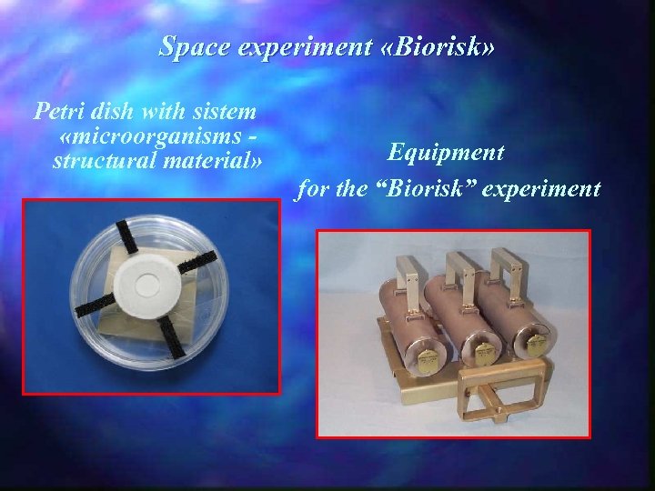 Space experiment «Biorisk» Petri dish with sistem «microorganisms - structural material» Equipment for the