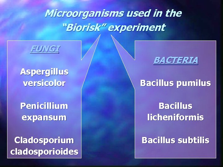 Microorganisms used in the “Biorisk” experiment FUNGI BACTERIA Aspergillus versicolor Bacillus pumilus Penicillium expansum