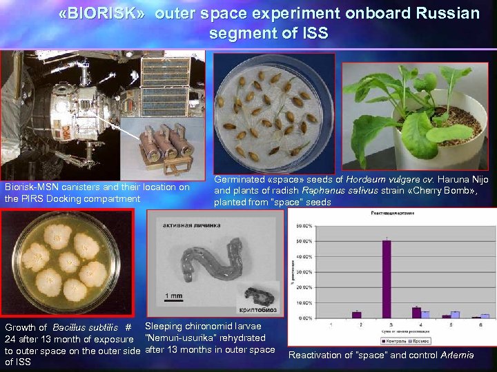  «BIORISK» outer space experiment onboard Russian segment of ISS Biorisk-MSN canisters and their