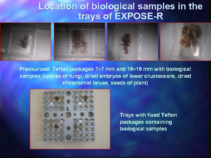 Location of biological samples in the trays of EXPOSE-R Pressurized Teflon packages 7 7