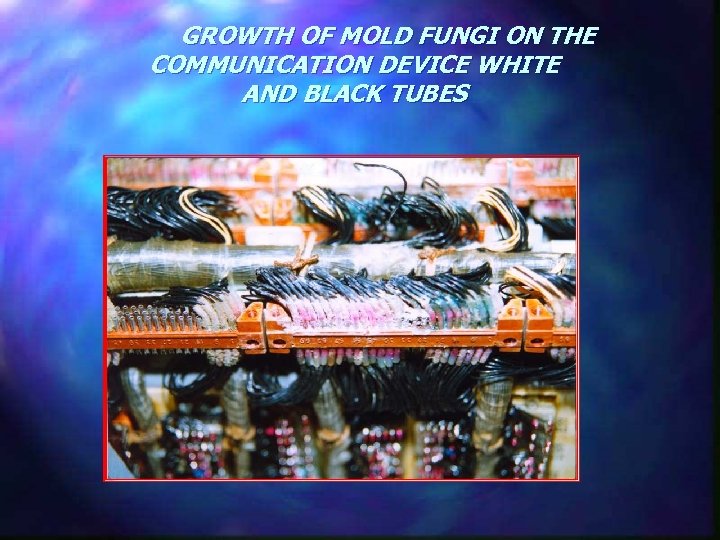  GROWTH OF MOLD FUNGI ON THE COMMUNICATION DEVICE WHITE AND BLACK TUBES 