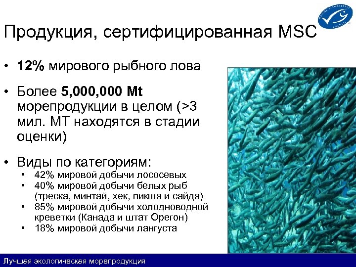 Продукция, сертифицированная MSC • 12% мирового рыбного лова • Более 5, 000 Mt морепродукции