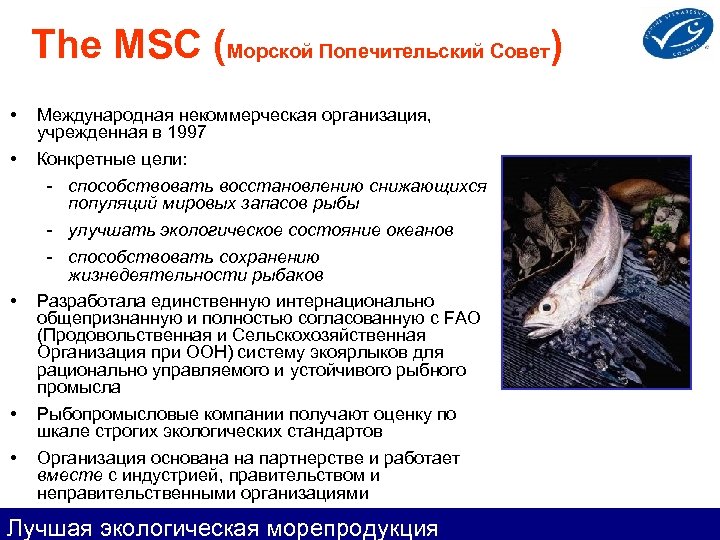 The MSC (Морской Попечительский Совет) • Международная некоммерческая организация, учрежденная в 1997 • Конкретные