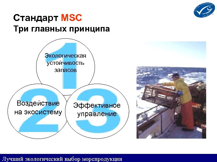 Стандарт MSC Три главных принципа Экологическая устойчивость запасов Воздействие на экосистему Эффективное управление Лучший