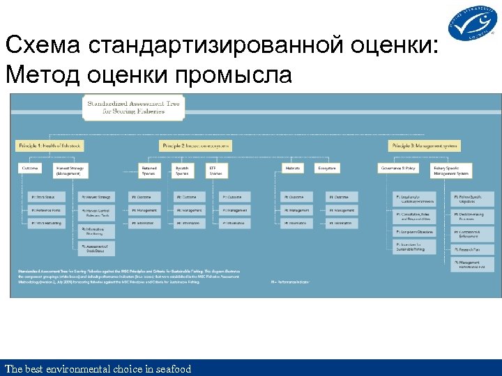 Схема стандартизированной оценки: Метод оценки промысла The best environmental choice in seafood 