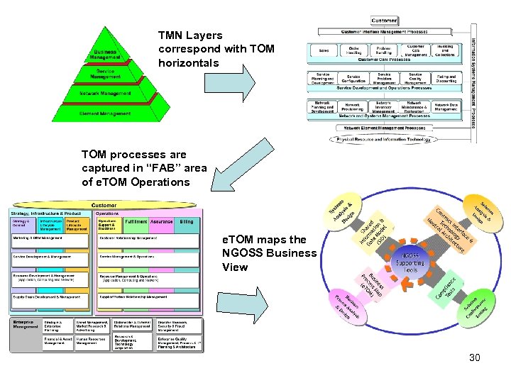 TMN Layers correspond with TOM horizontals TOM processes are captured in “FAB” area of