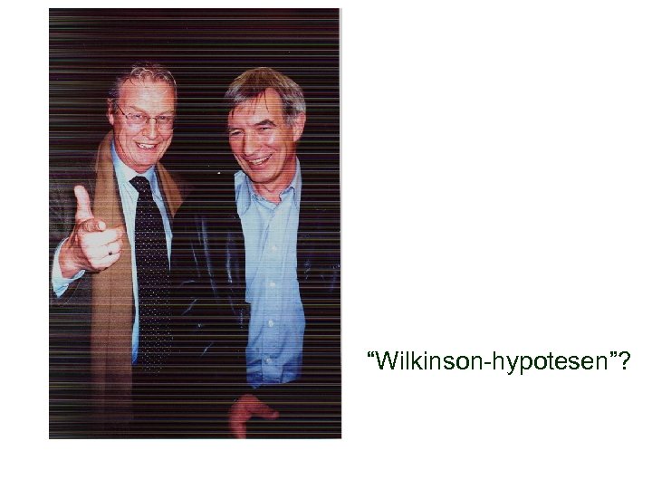 “Wilkinson-hypotesen”? 