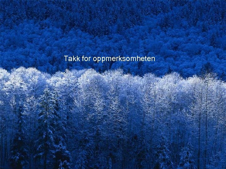 Takk for oppmerksomheten 