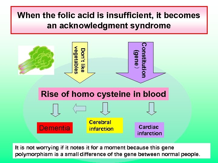 When the folic acid is insufficient, it becomes an acknowledgment syndrome Constitution (gene ）