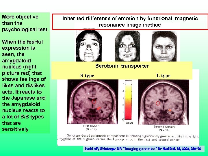 More objective than the psychological test. When the fearful expression is seen, the amygdaloid