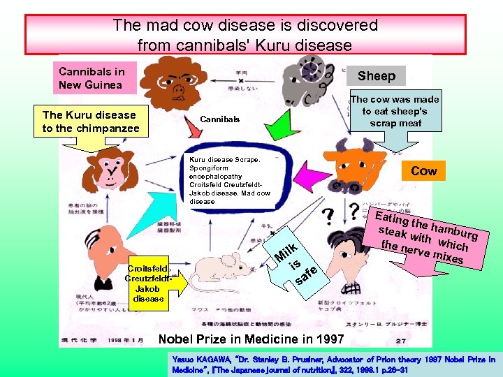 The mad cow disease is discovered from cannibals' Kuru disease Cannibals in New Guinea
