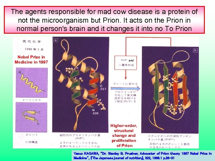 The agents responsible for mad cow disease is a protein of not the microorganism