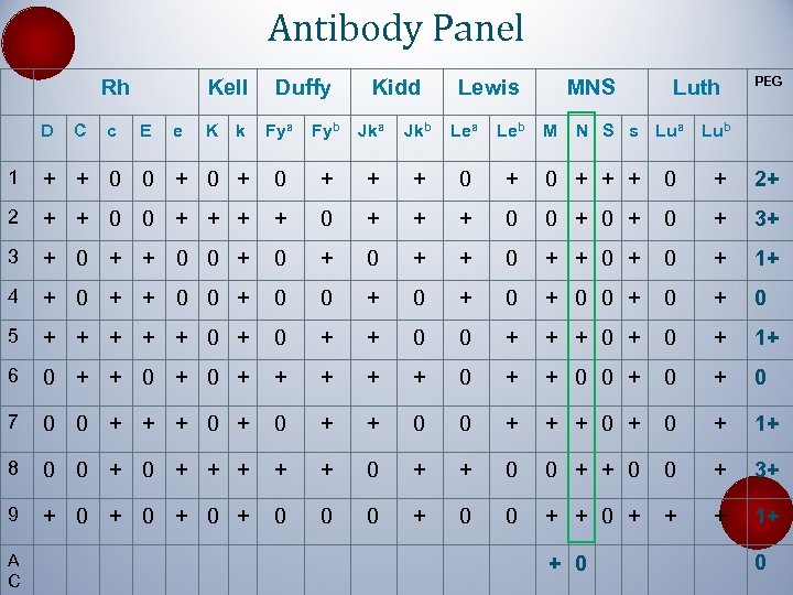 Antibody Panel Rh D C c Kell E e K k Duffy Kidd Lewis