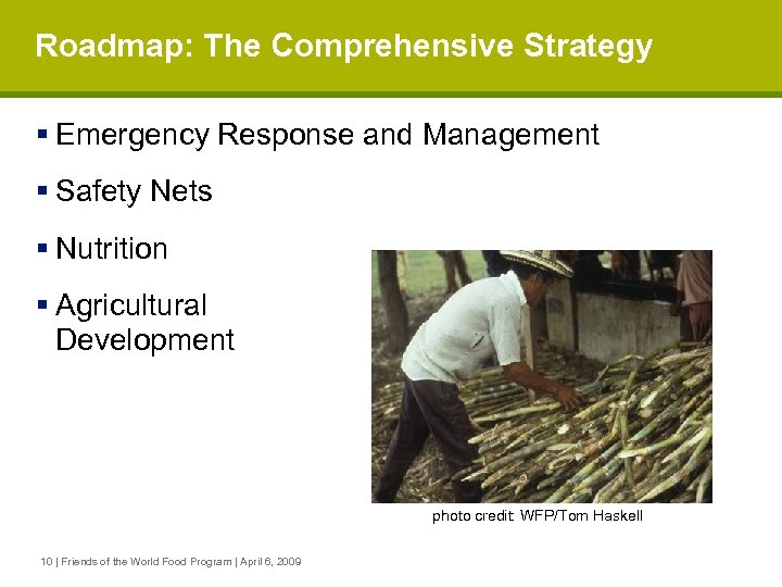 Roadmap: The Comprehensive Strategy § Emergency Response and Management § Safety Nets § Nutrition