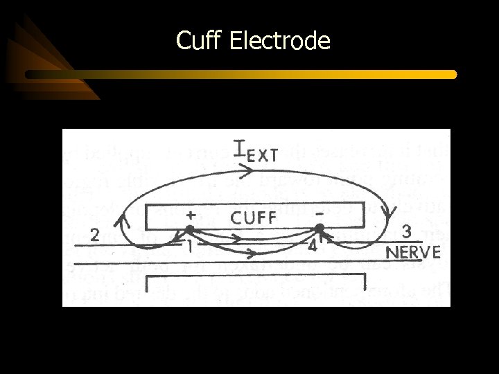 Cuff Electrode 