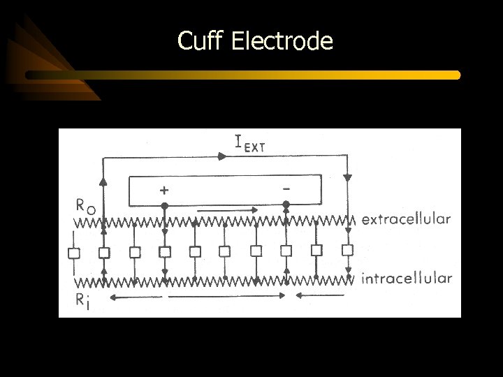 Cuff Electrode 