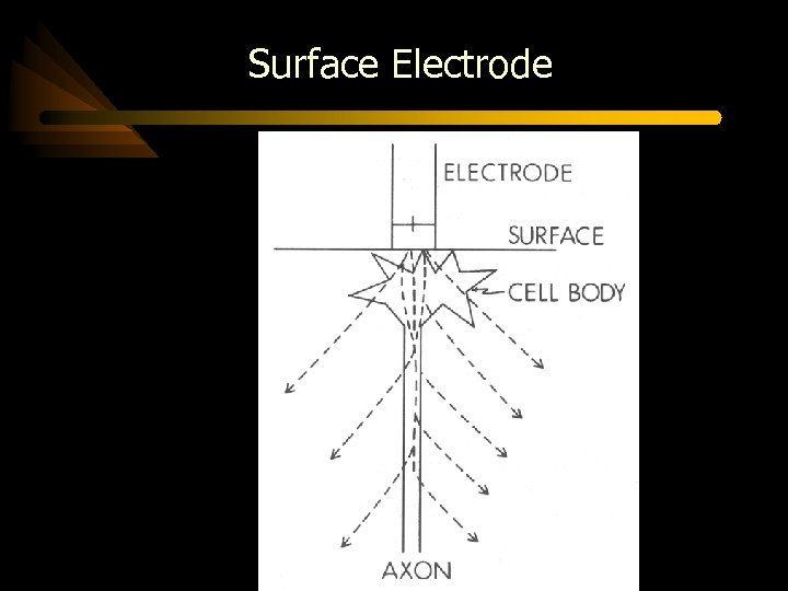 Surface Electrode 