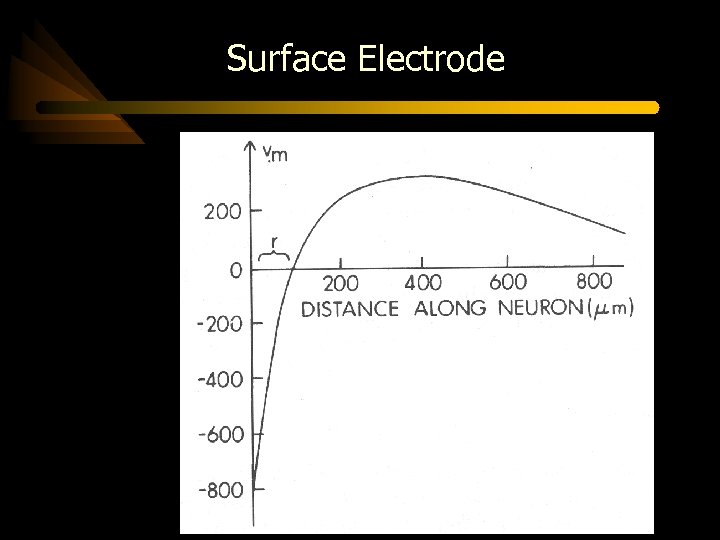 Surface Electrode 
