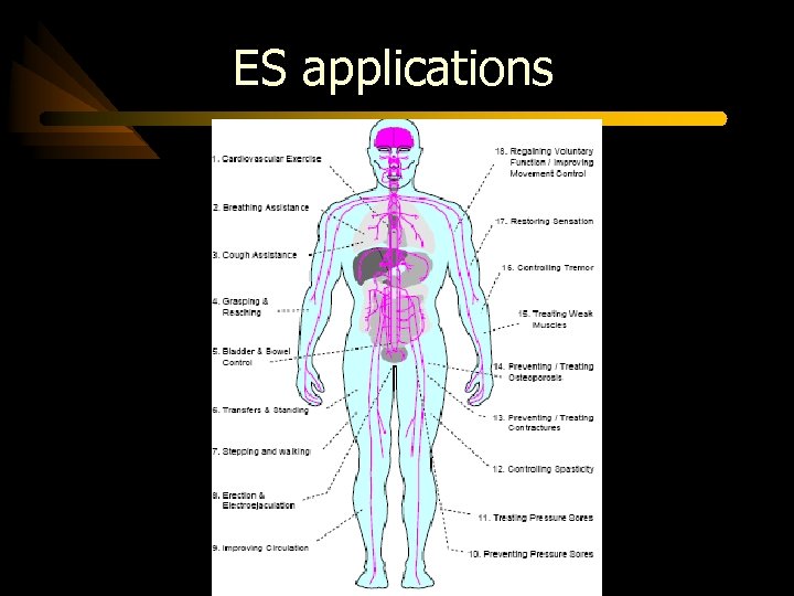 ES applications 
