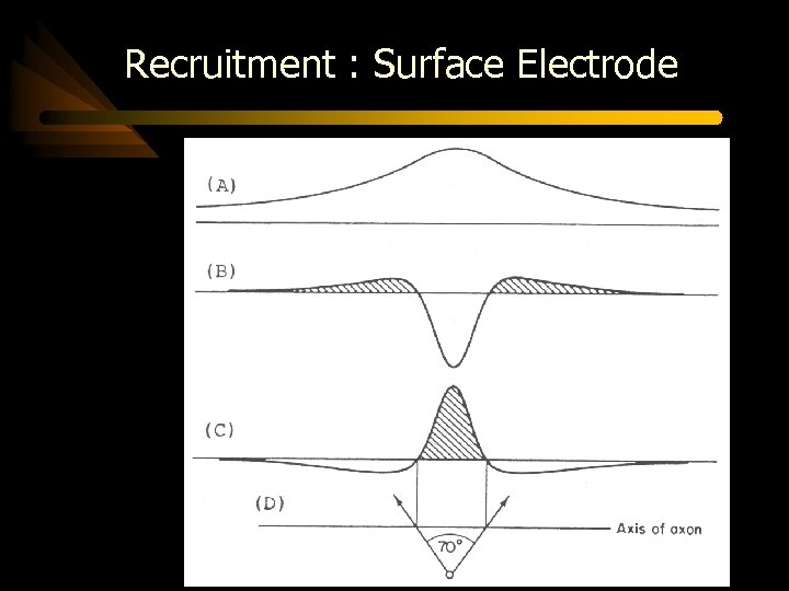Recruitment : Surface Electrode 