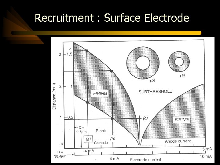 Recruitment : Surface Electrode 