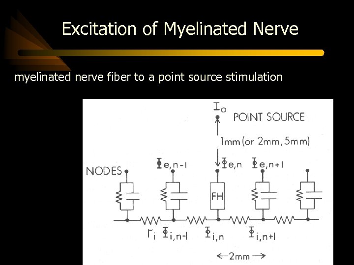 Excitation of Myelinated Nerve myelinated nerve fiber to a point source stimulation 