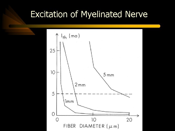 Excitation of Myelinated Nerve 