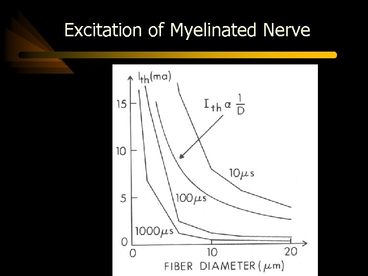 Excitation of Myelinated Nerve 