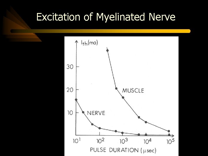 Excitation of Myelinated Nerve 