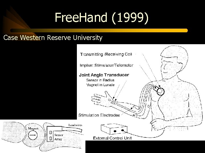 Free. Hand (1999) Case Western Reserve University 