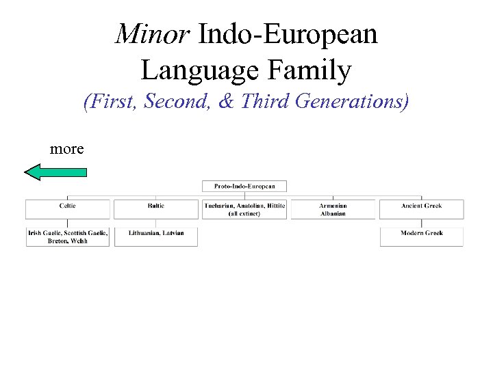 Minor Indo-European Language Family (First, Second, & Third Generations) more 