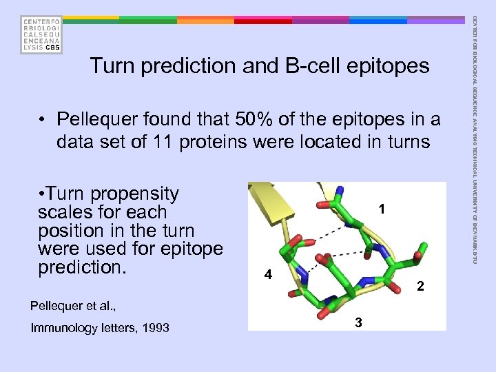  • Pellequer found that 50% of the epitopes in a data set of