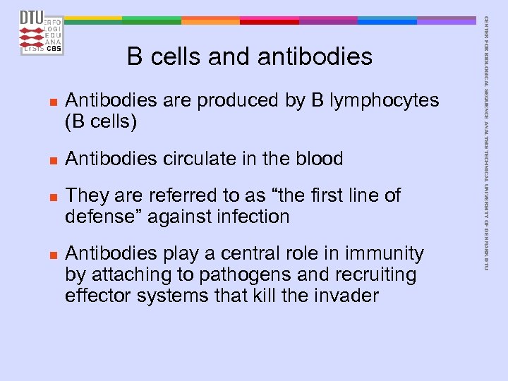 n n Antibodies are produced by B lymphocytes (B cells) Antibodies circulate in the