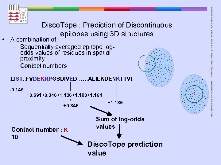  • A combination of: – Sequentially averaged epitope logodds values of residues in