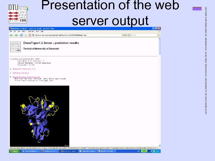 CENTER FOR BIOLOGICAL SEQUENCE ANALYSIS TECHNICAL UNIVERSITY OF DENMARK DTU Presentation of the web