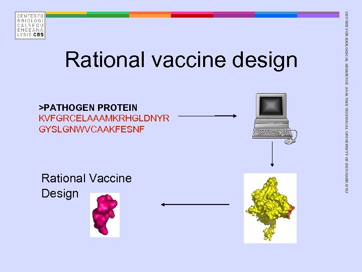 >PATHOGEN PROTEIN KVFGRCELAAAMKRHGLDNYR GYSLGNWVCAAKFESNF Rational Vaccine Design CENTER FOR BIOLOGICAL SEQUENCE ANALYSIS TECHNICAL UNIVERSITY