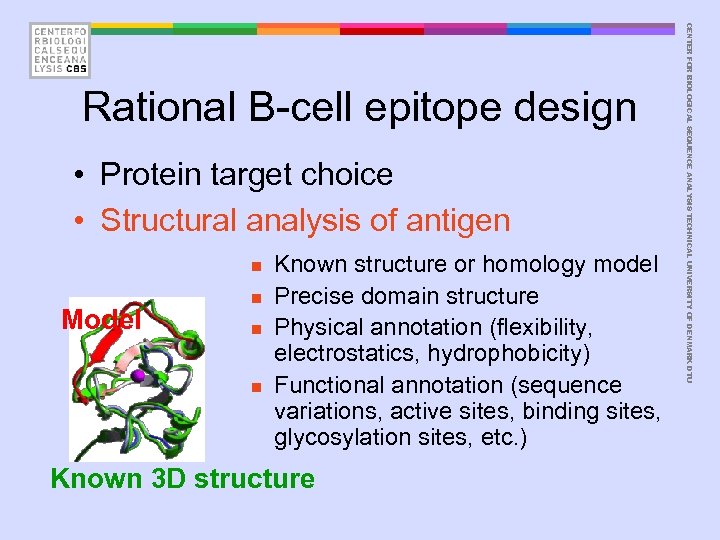  • Protein target choice • Structural analysis of antigen n Model n n