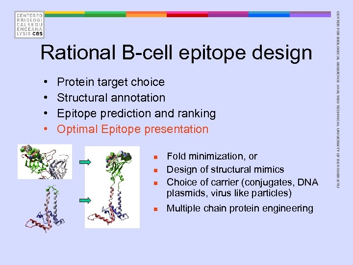  • • Protein target choice Structural annotation Epitope prediction and ranking Optimal Epitope