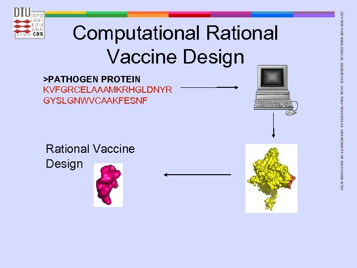 >PATHOGEN PROTEIN KVFGRCELAAAMKRHGLDNYR GYSLGNWVCAAKFESNF Rational Vaccine Design CENTER FOR BIOLOGICAL SEQUENCE ANALYSIS TECHNICAL UNIVERSITY