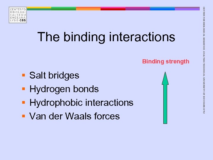 Binding strength § § Salt bridges Hydrogen bonds Hydrophobic interactions Van der Waals forces