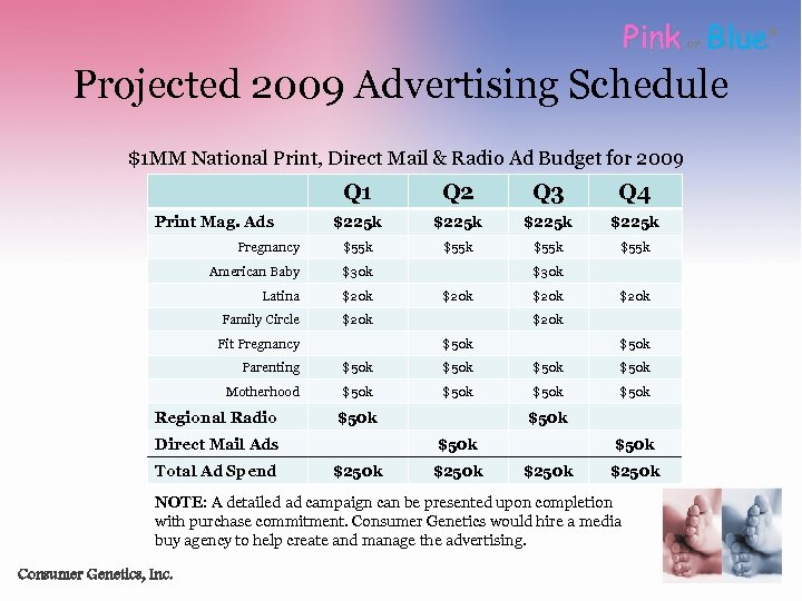 Pink Blue or Projected 2009 Advertising Schedule $1 MM National Print, Direct Mail &