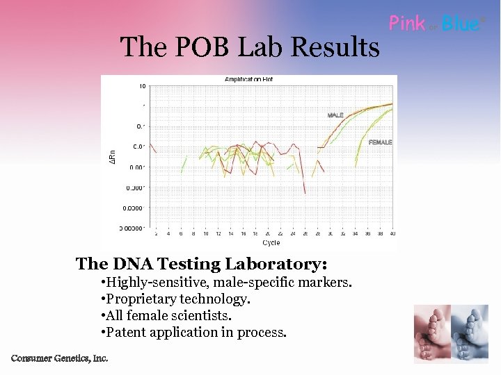 The POB Lab Results The DNA Testing Laboratory: • Highly-sensitive, male-specific markers. • Proprietary