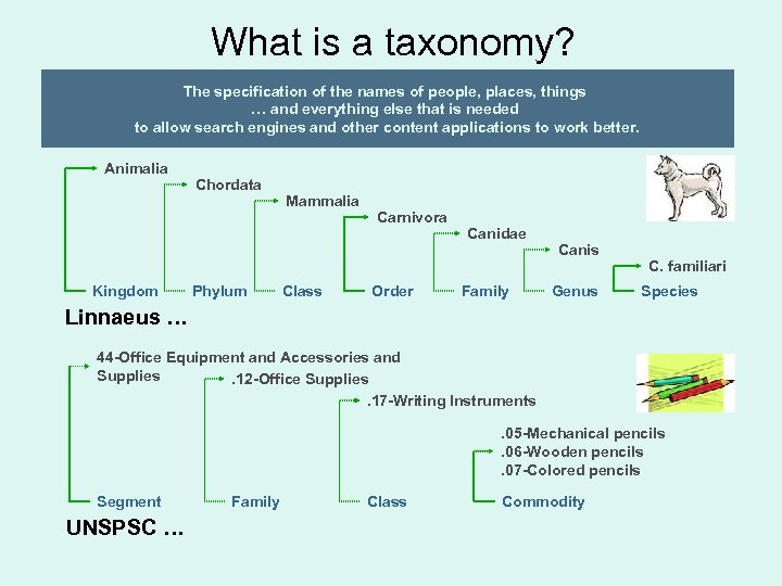 What is a taxonomy? The specification of the names of people, places, things …