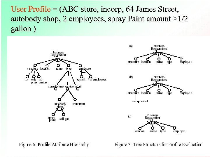 User Profile = (ABC store, incorp, 64 James Street, autobody shop, 2 employees, spray