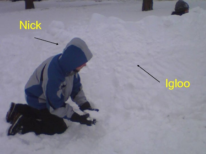 Nick Igloo 