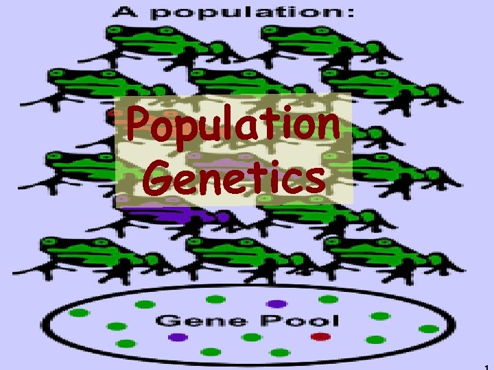 Population Genetics 1 1 