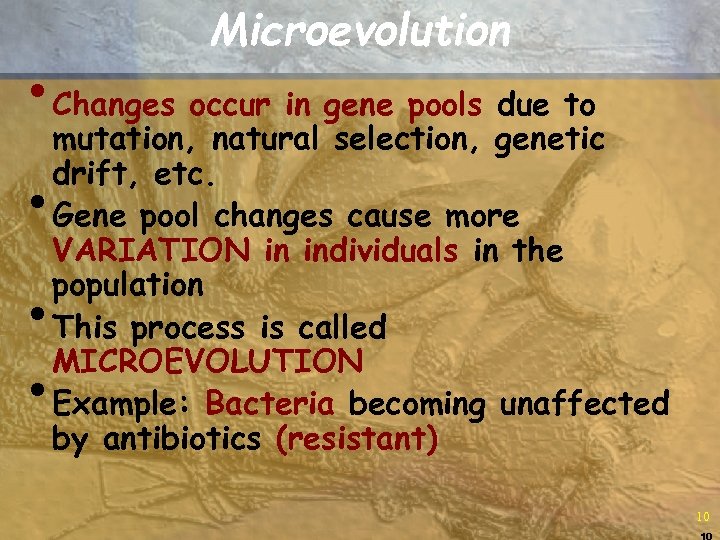 Microevolution • Changes occur in gene pools due to • • • mutation, natural