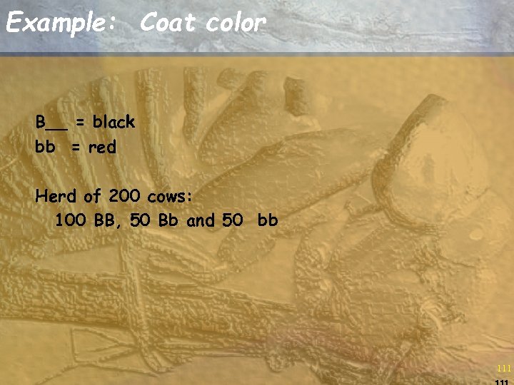 Example: Coat color B__ = black bb = red Herd of 200 cows: 100