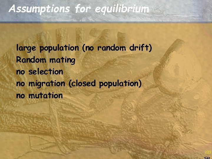Assumptions for equilibrium large population (no random drift) Random mating no selection no migration