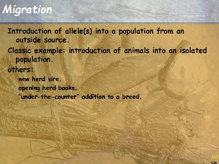 Migration Introduction of allele(s) into a population from an outside source. Classic example: introduction